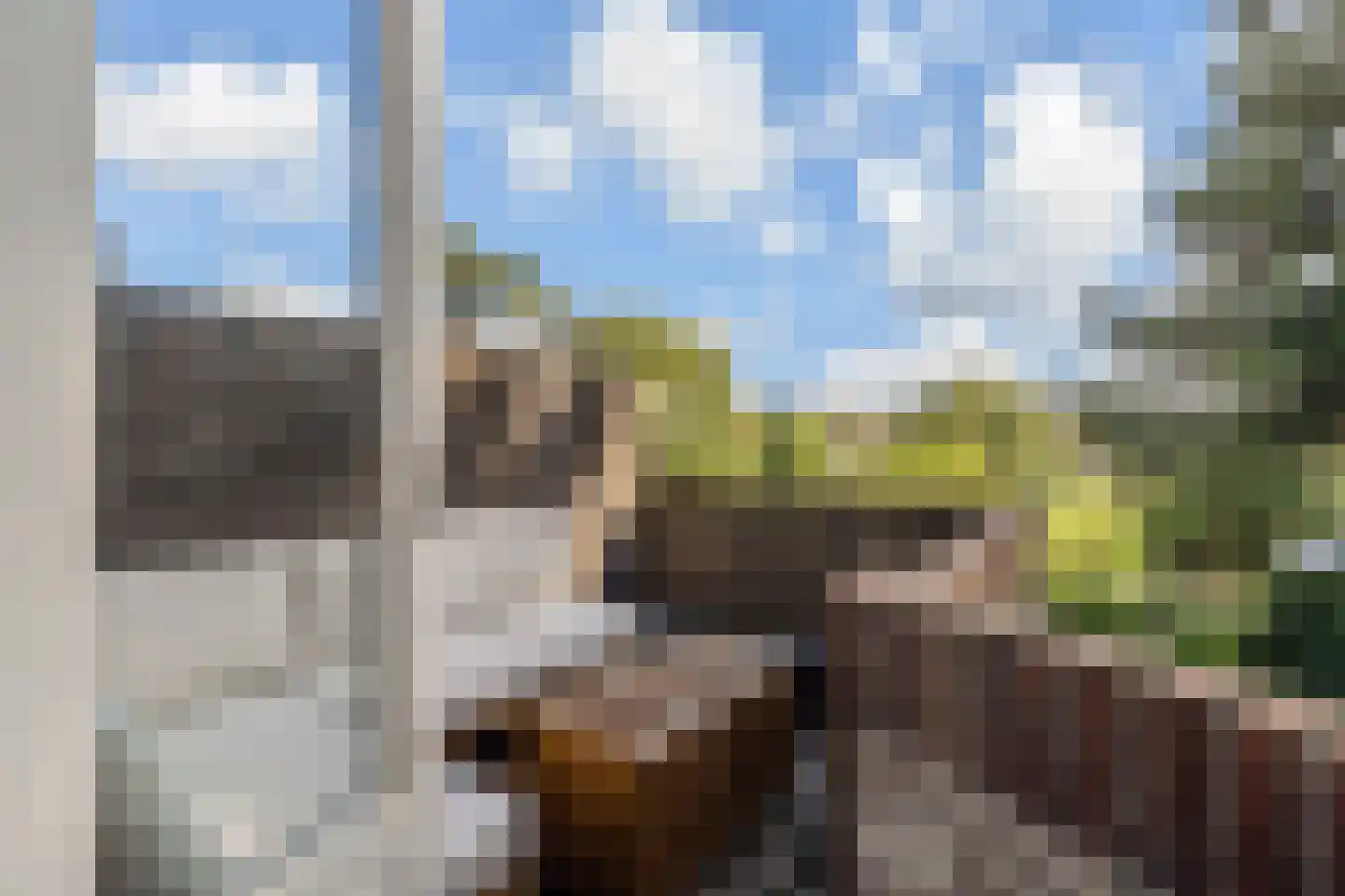 Schapenlaan 56 Den Haag thumbnail 31