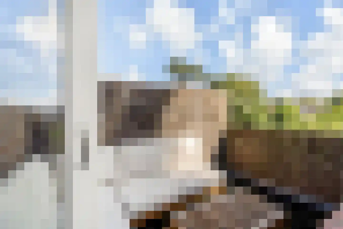 Schapenlaan 56 Den Haag thumbnail 32