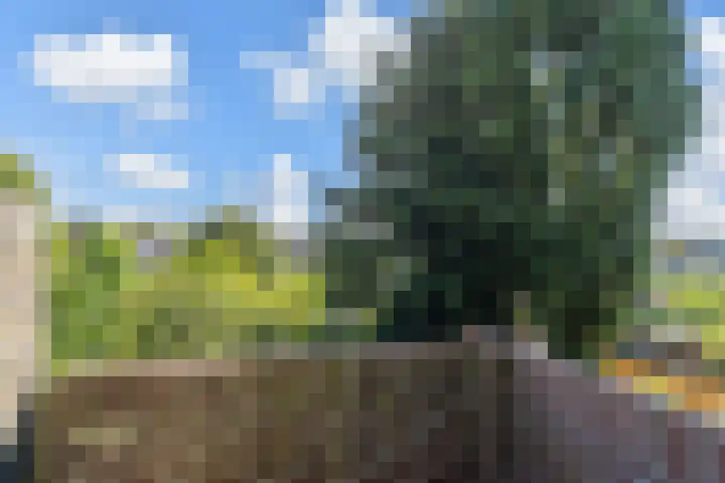 Schapenlaan 56 Den Haag thumbnail 33