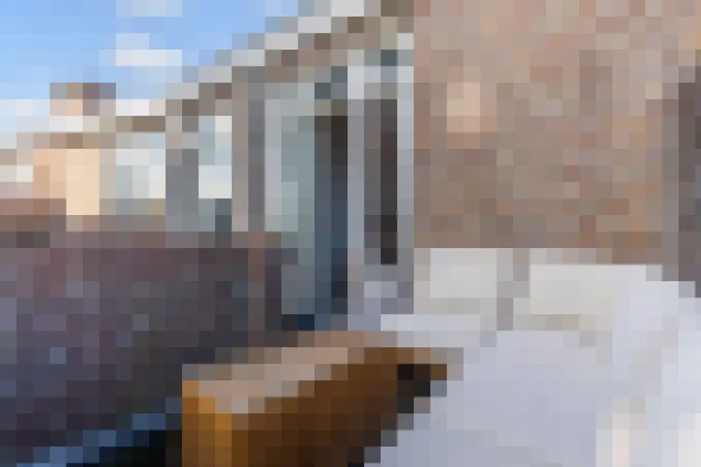 Schapenlaan 56 Den Haag thumbnail 34