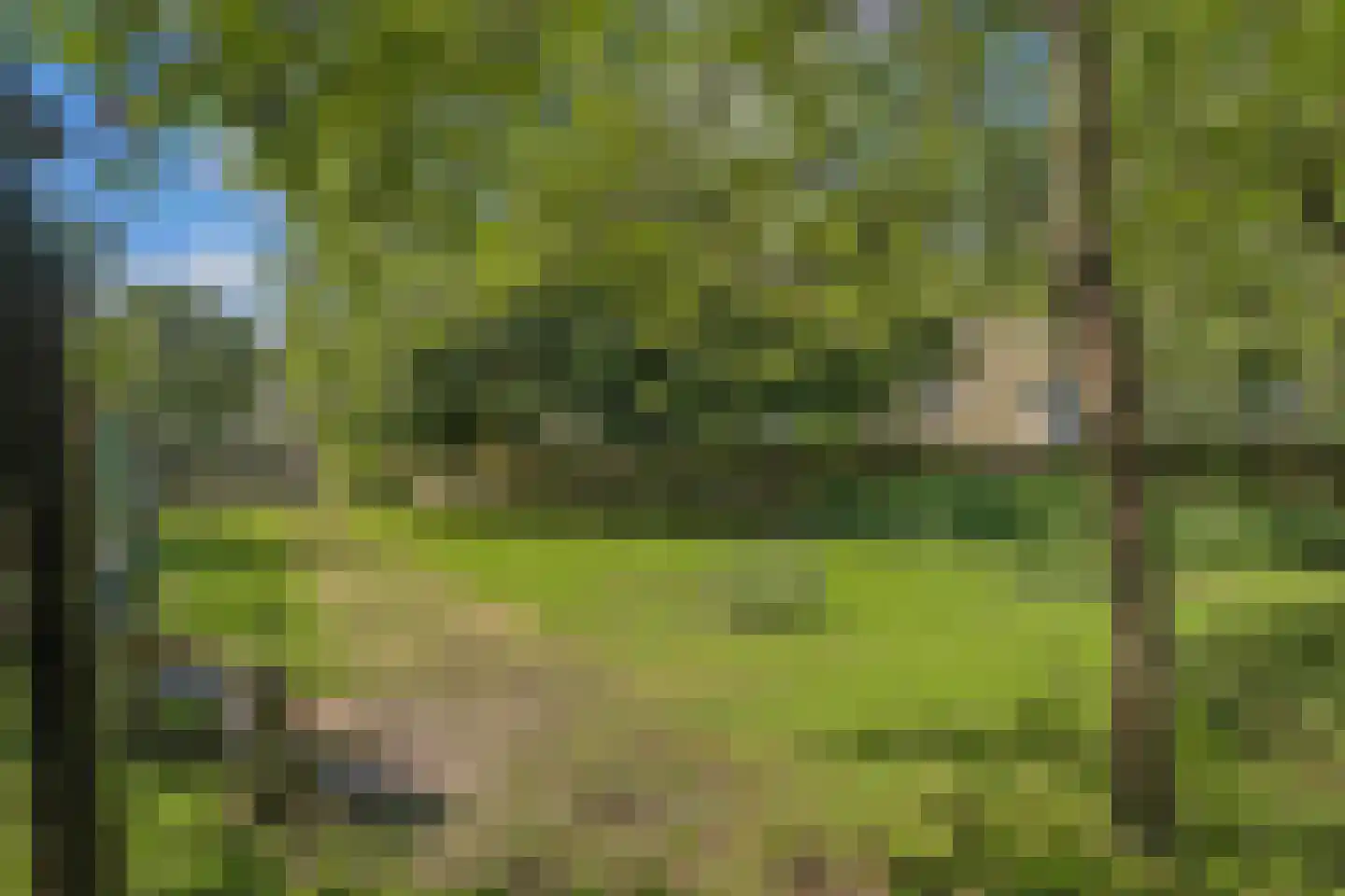 Schapenlaan 56 Den Haag thumbnail 36