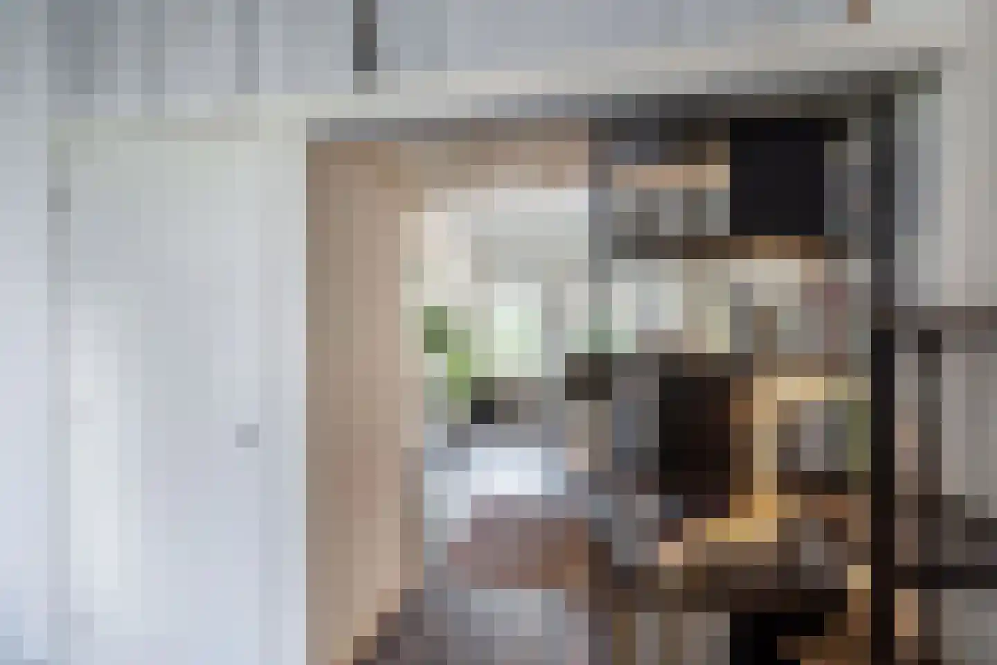 Schapenlaan 56 Den Haag thumbnail 4