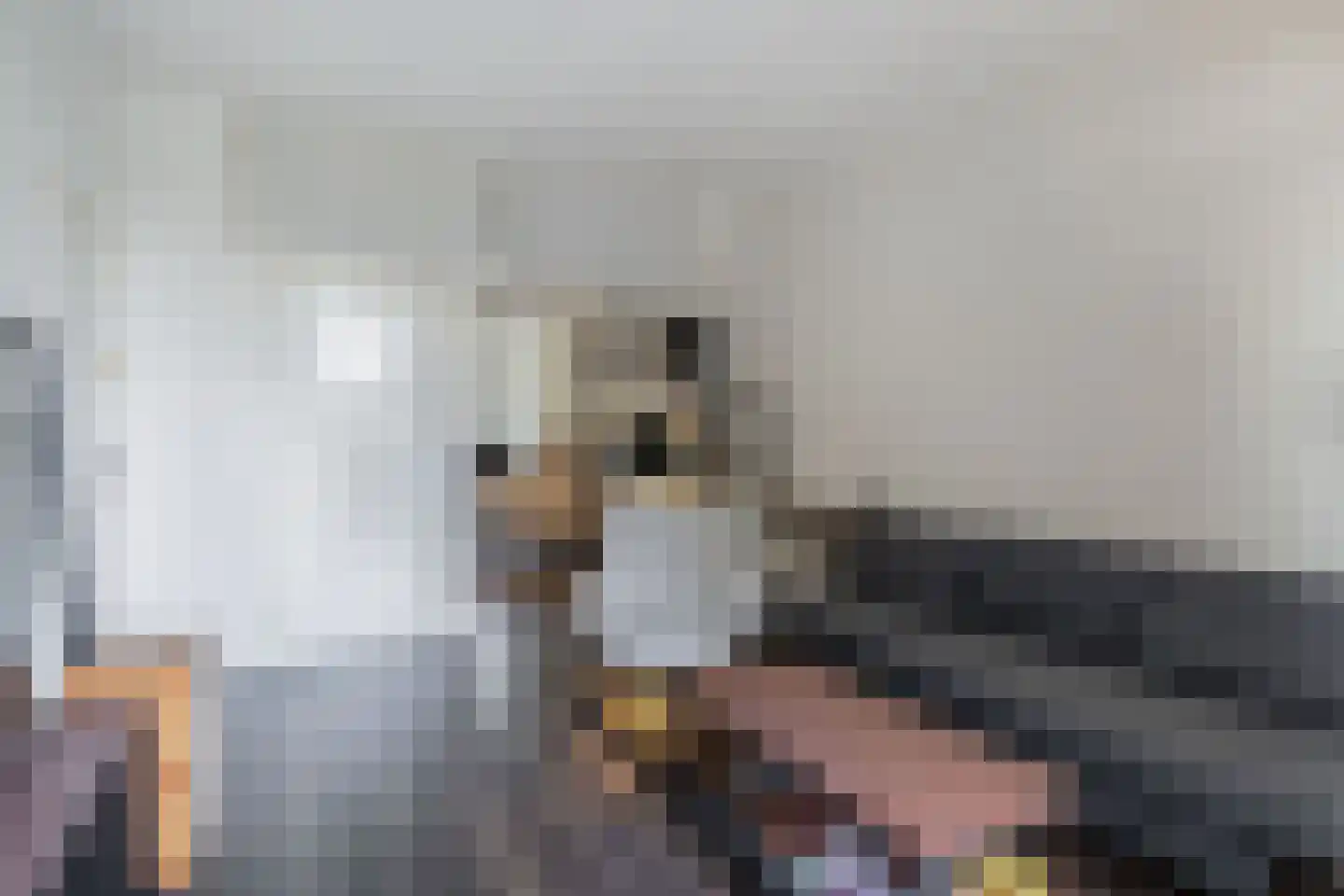 Schapenlaan 56 Den Haag thumbnail 5