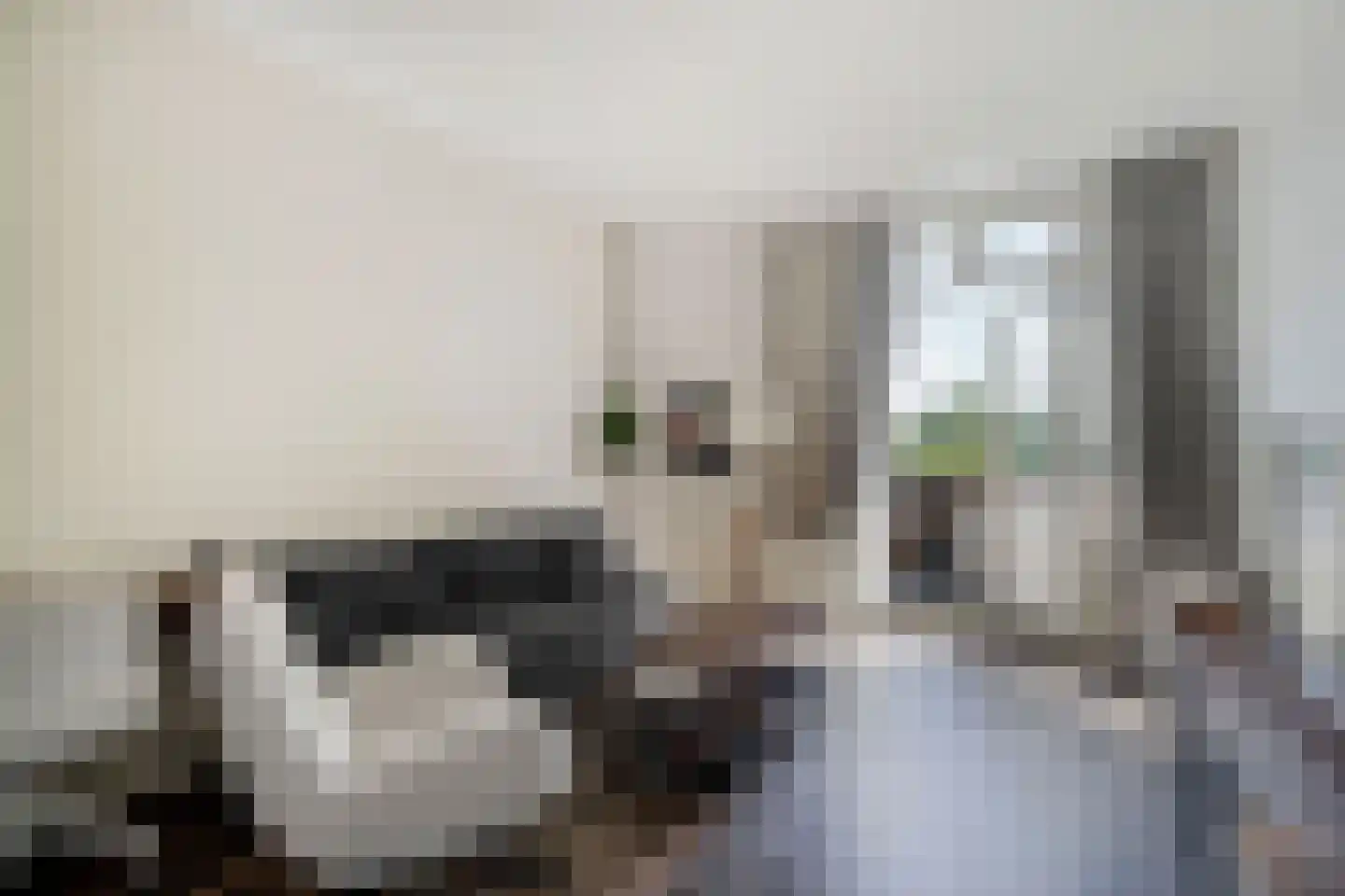 Schapenlaan 56 Den Haag thumbnail 6