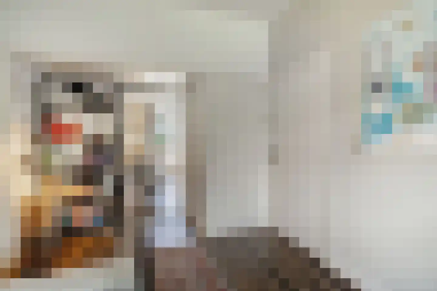 Schapenlaan 56 Den Haag thumbnail 7