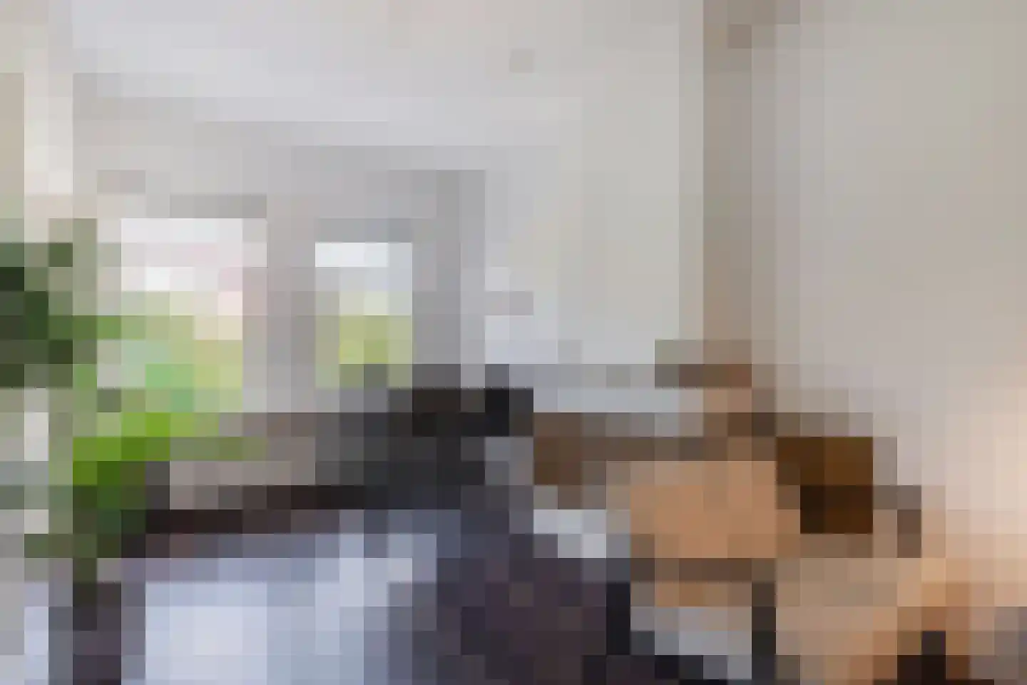 Schapenlaan 56 Den Haag thumbnail 8