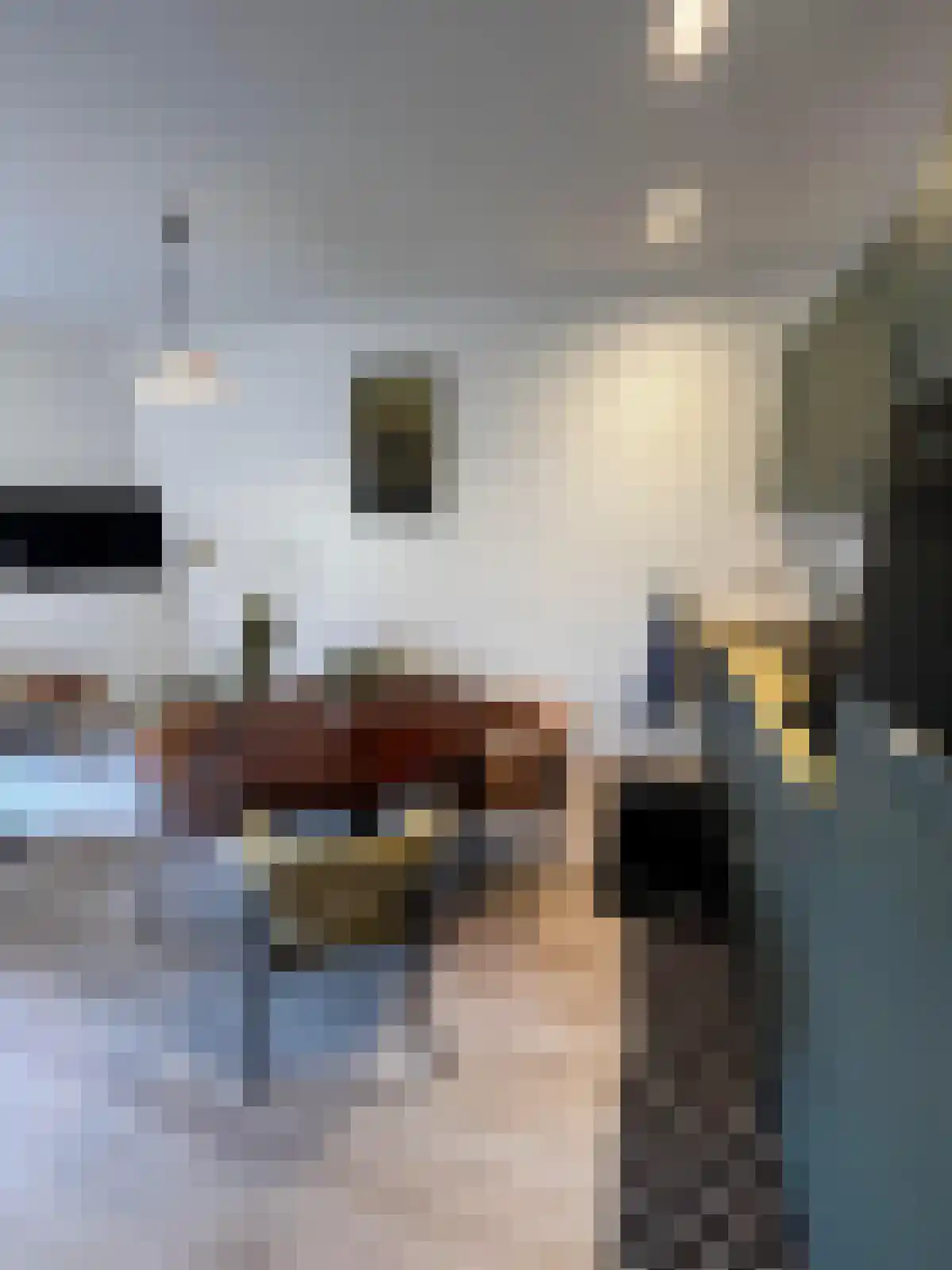 Schapenlaan 62 Den Haag thumbnail 4