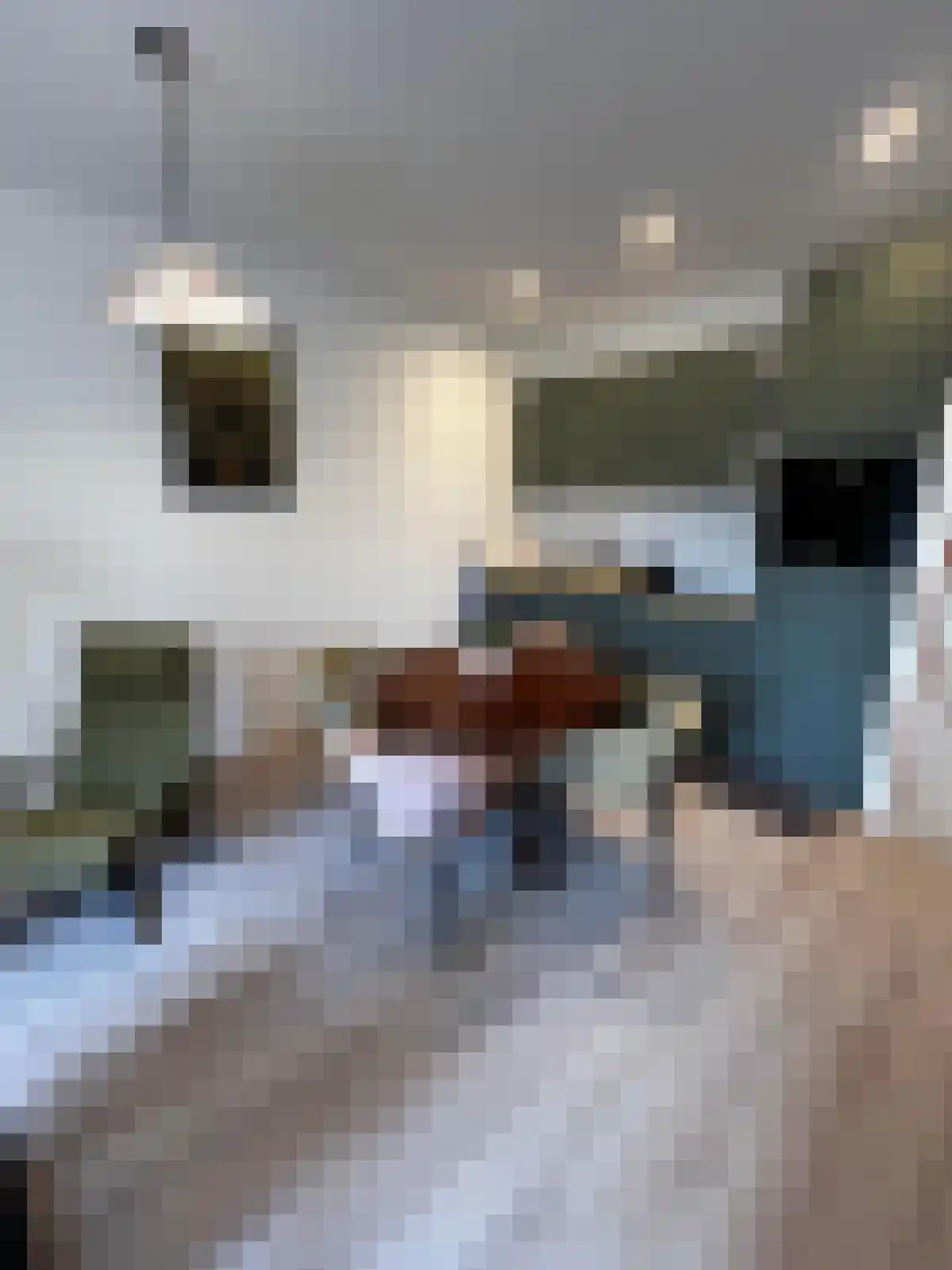 Schapenlaan 62 Den Haag thumbnail 6