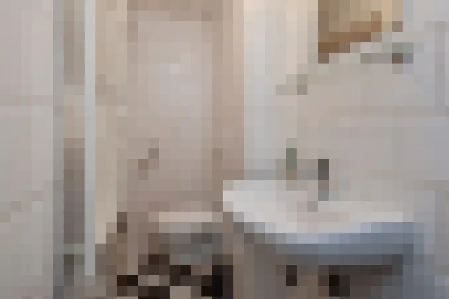 Schapenlaan 66 Den Haag thumbnail 16
