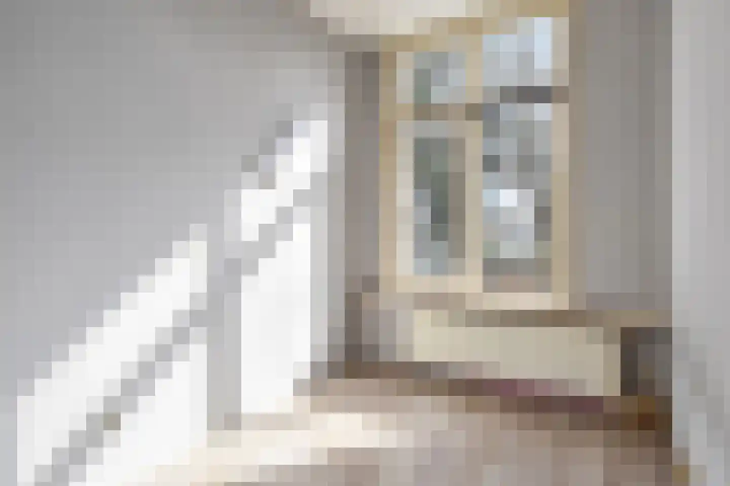 Schapenlaan 66 Den Haag thumbnail 18