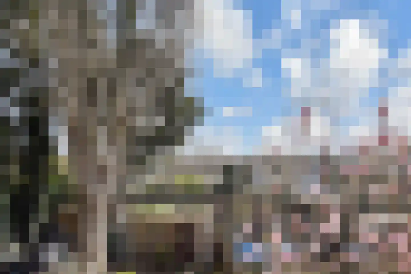 Schapenlaan 66 Den Haag thumbnail 20