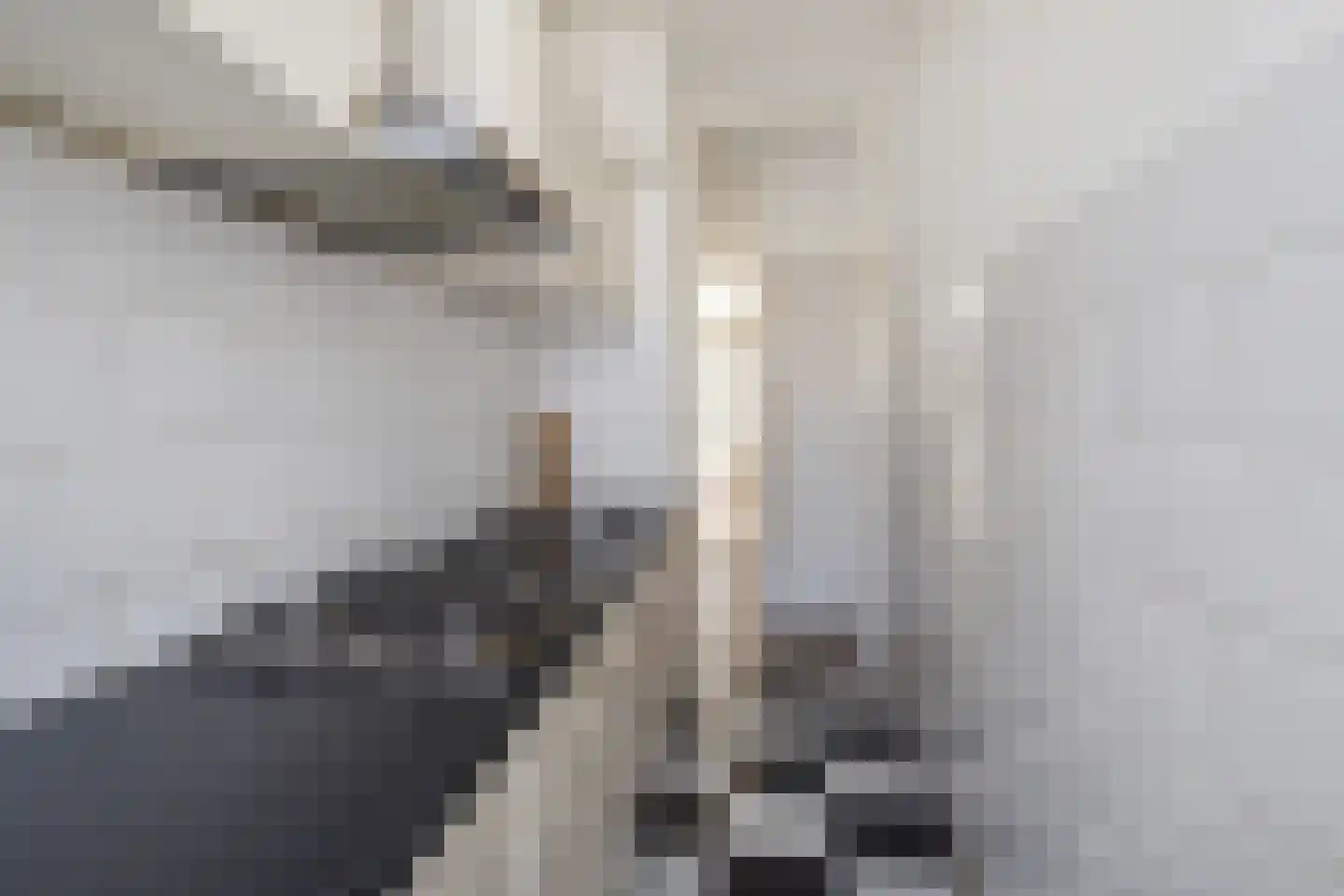 Schapenlaan 66 Den Haag thumbnail 9