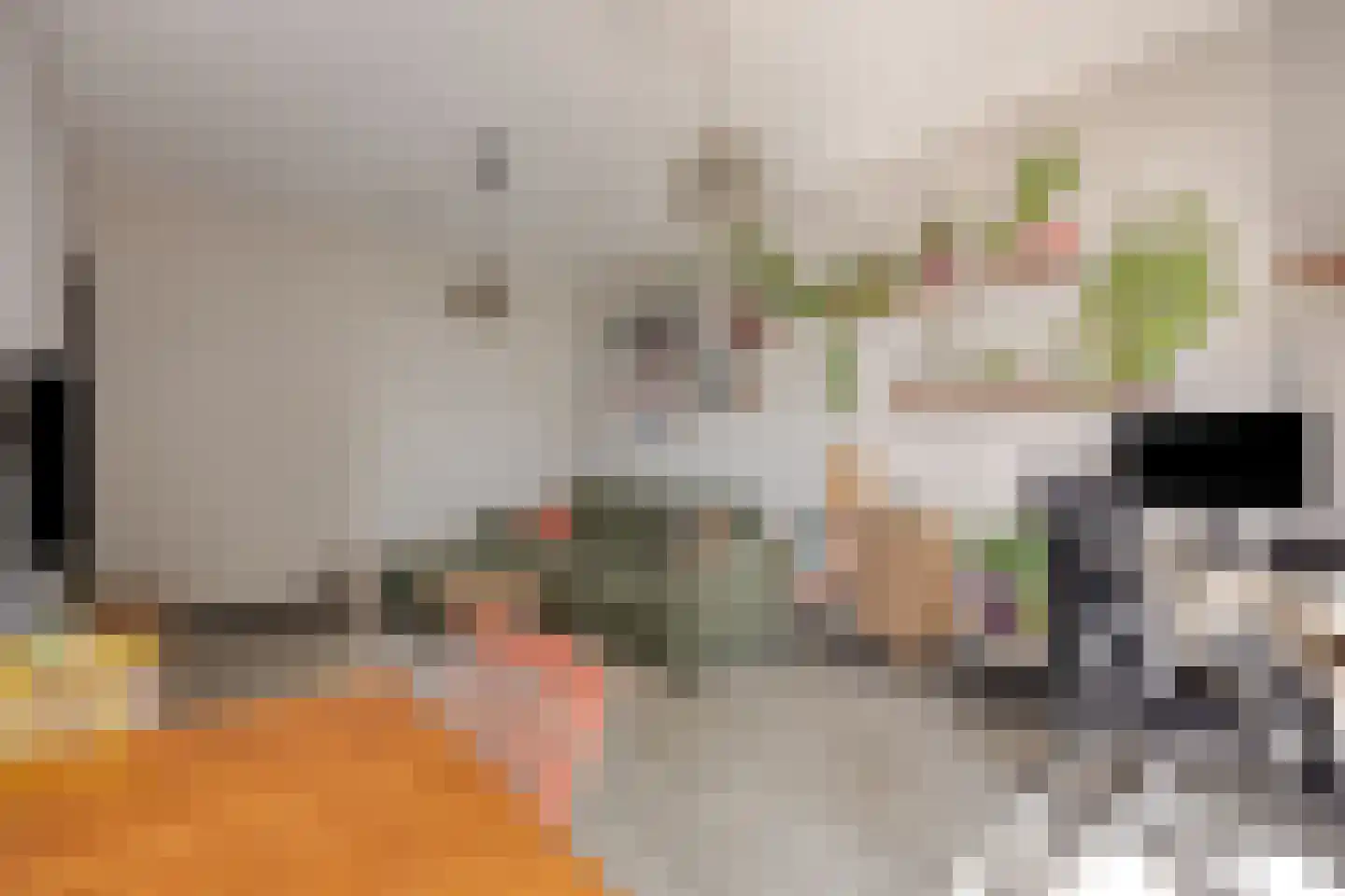 Schapenlaan 68 Den Haag thumbnail 13