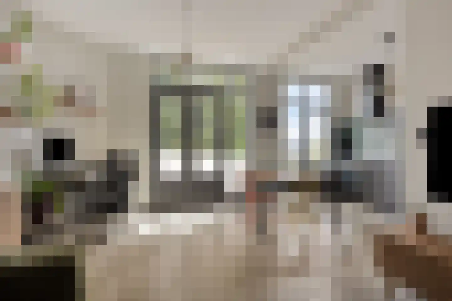 Schapenlaan 68 Den Haag thumbnail 14