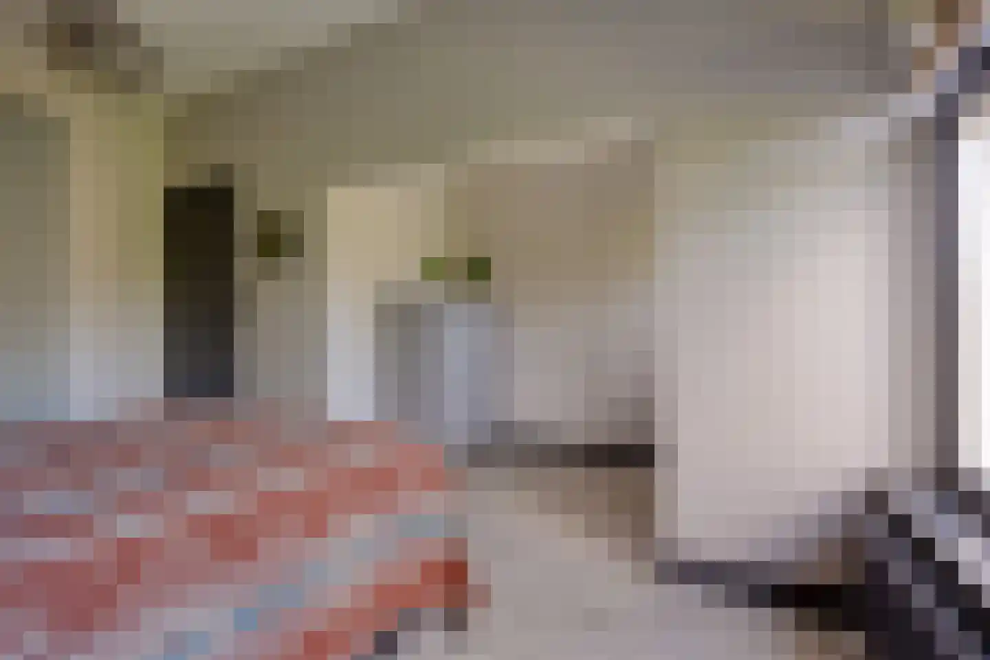 Schapenlaan 68 Den Haag thumbnail 19