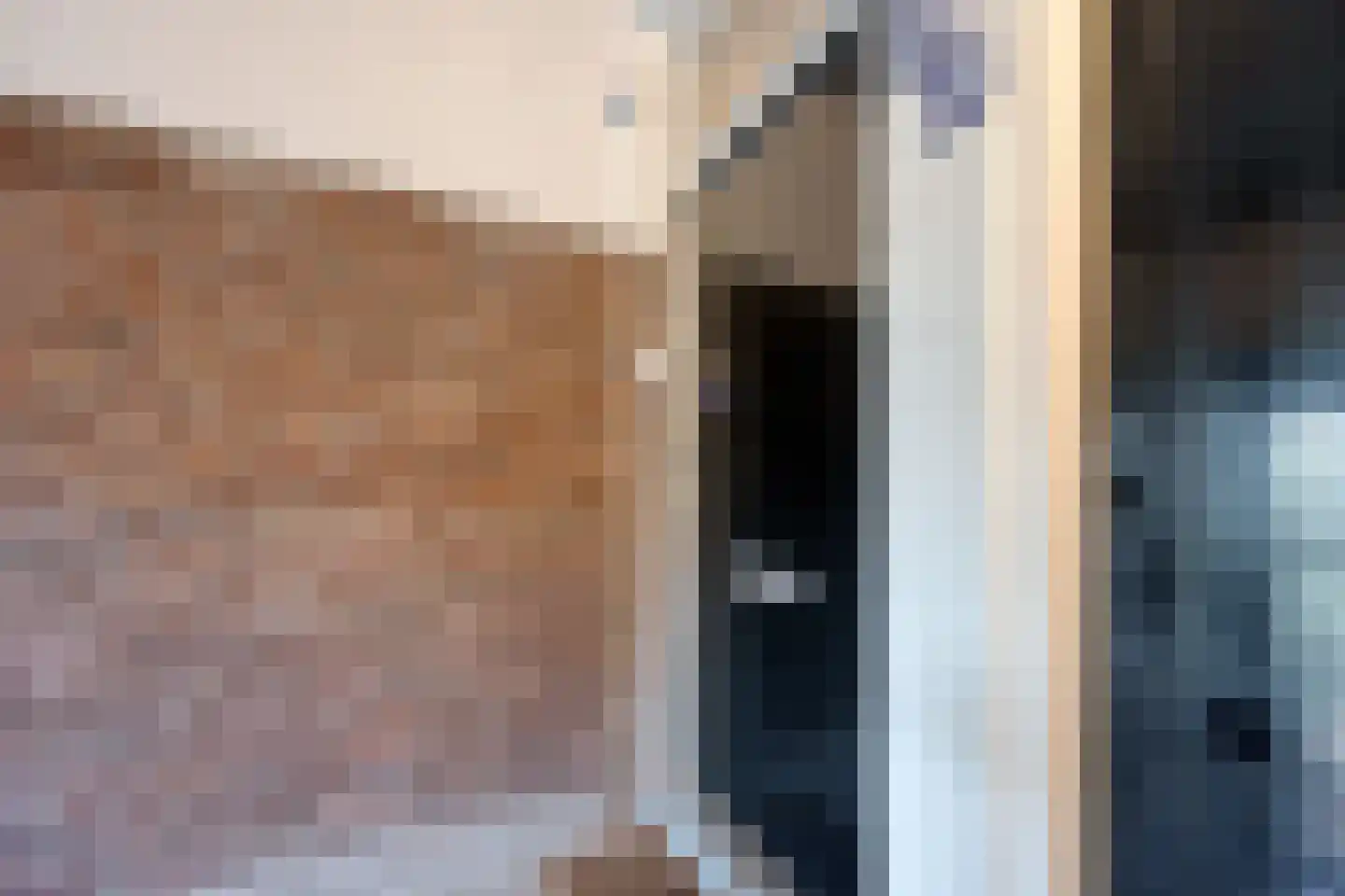 Schapenlaan 68 Den Haag thumbnail 8