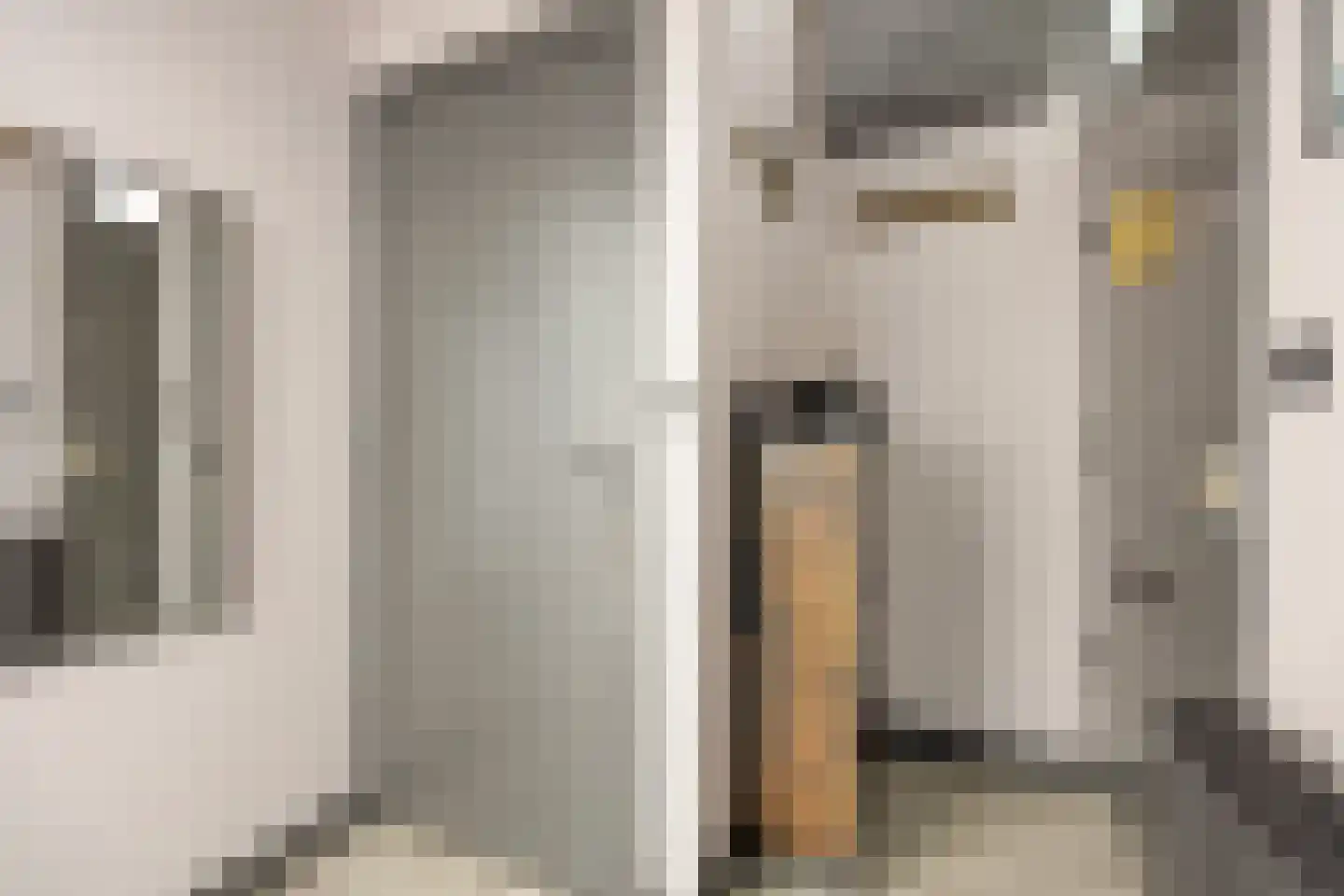 Schapenlaan 68 Den Haag thumbnail 9