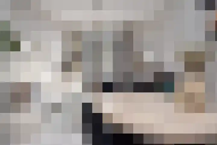 Schapenlaan 70 Den Haag