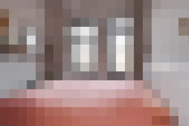 Schapenlaan 70 Den Haag thumbnail 16