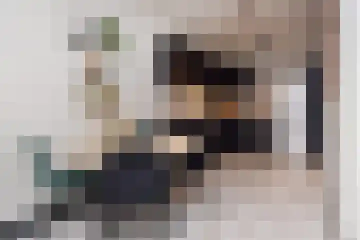 Schapenlaan 70 Den Haag thumbnail 22