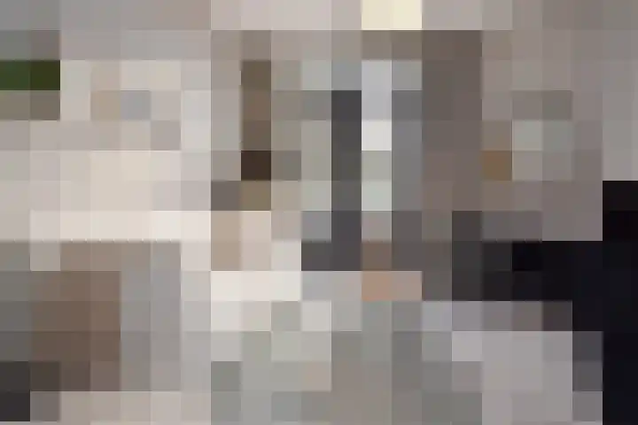 Schapenlaan 70 Den Haag thumbnail 26