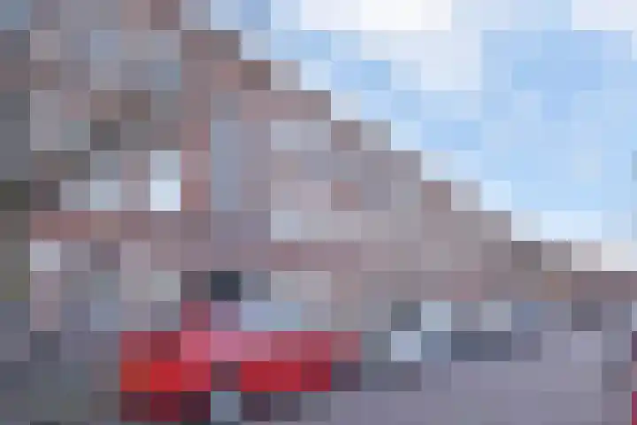 Schapenlaan 70 Den Haag thumbnail 31