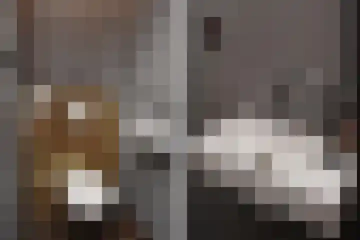 Schapenlaan 70 Den Haag thumbnail 8