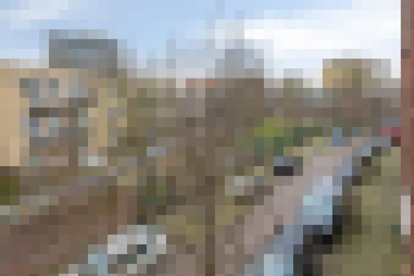 Schapenlaan 92 Den Haag thumbnail 32
