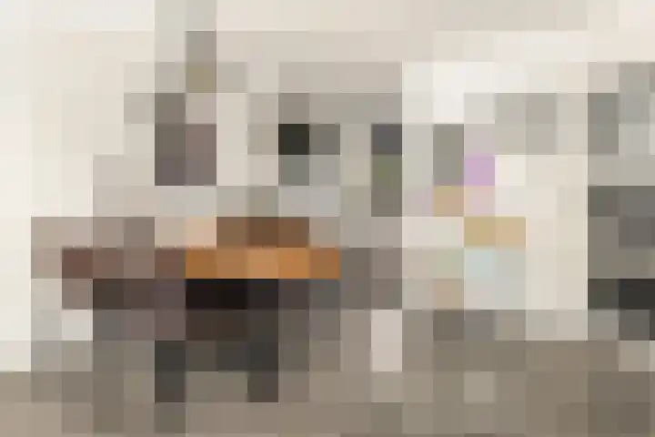 Schapenland 20 Velserbroek thumbnail 17