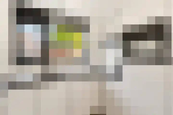 Schapenland 20 Velserbroek thumbnail 20
