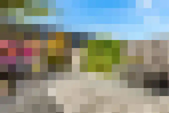 Schapenland 20 Velserbroek thumbnail 24