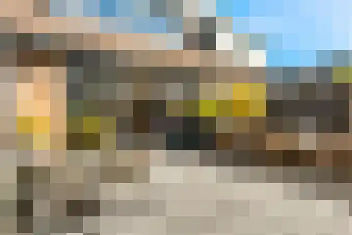 Schapenland 20 Velserbroek thumbnail 26