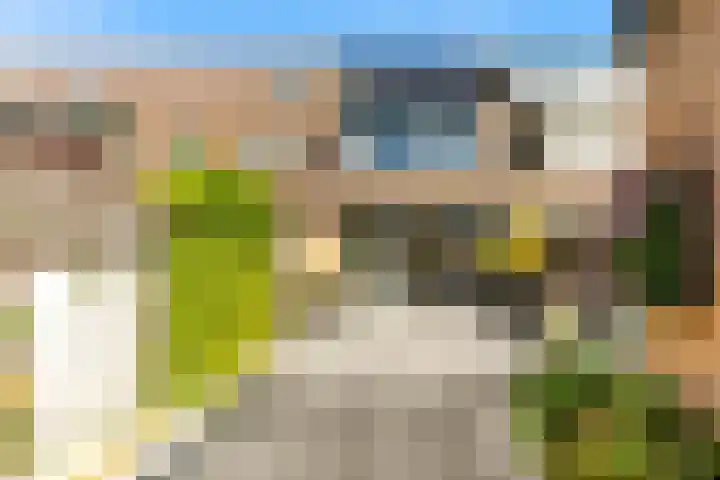 Schapenland 20 Velserbroek thumbnail 27
