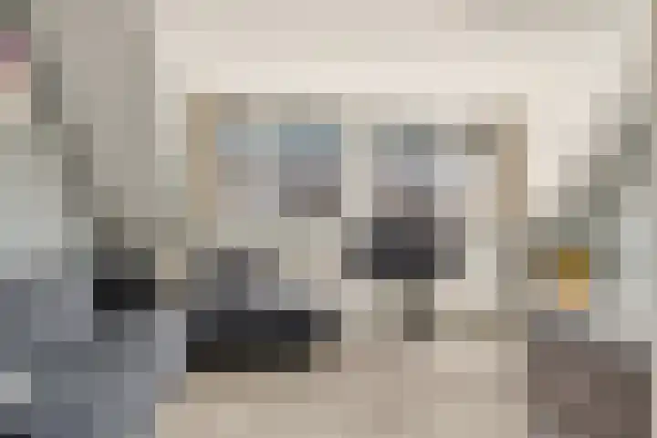 Schapenland 20 Velserbroek thumbnail 31