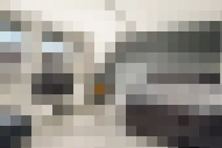 Schapenland 20 Velserbroek thumbnail 32