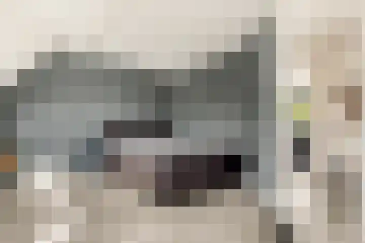 Schapenland 20 Velserbroek thumbnail 33