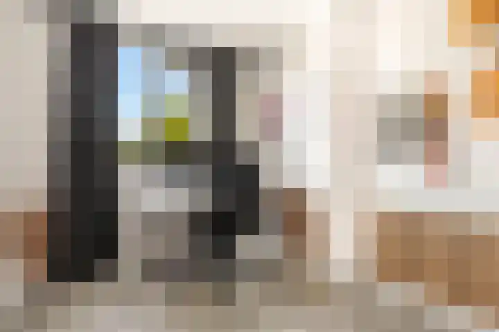Schapenland 20 Velserbroek thumbnail 36
