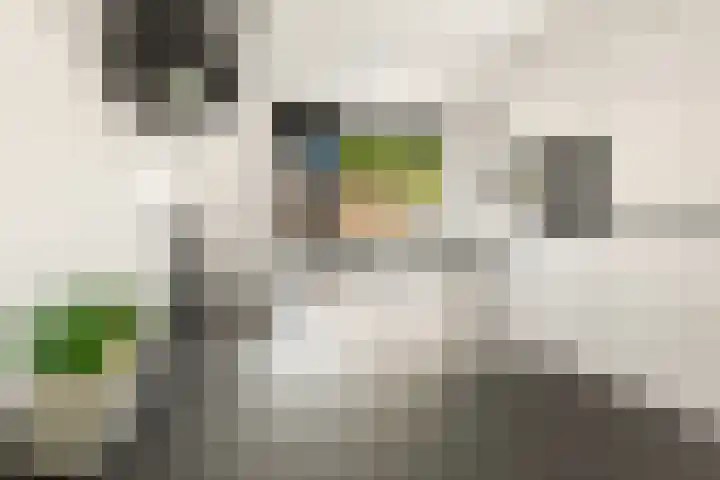 Schapenland 20 Velserbroek thumbnail 4