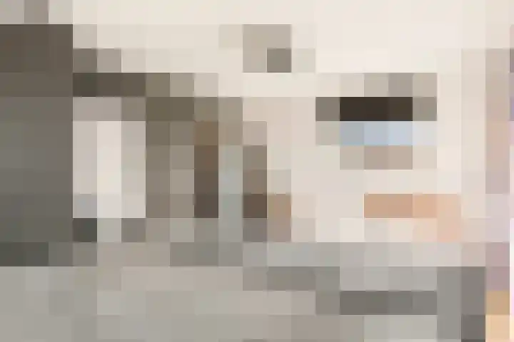 Schapenland 20 Velserbroek thumbnail 43