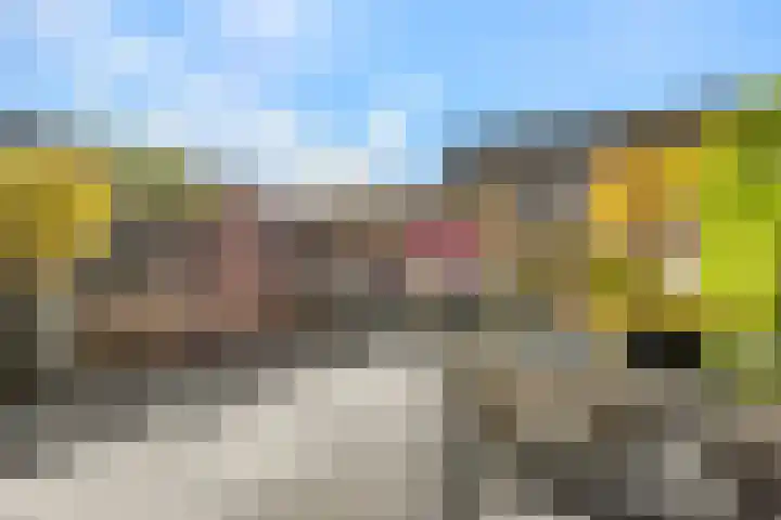 Schapenland 20 Velserbroek thumbnail 5