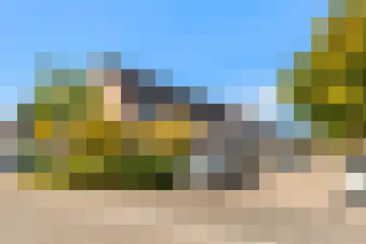 Schapenland 20 Velserbroek thumbnail 6