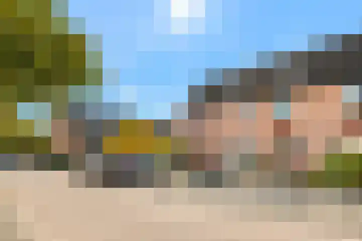 Schapenland 20 Velserbroek thumbnail 7