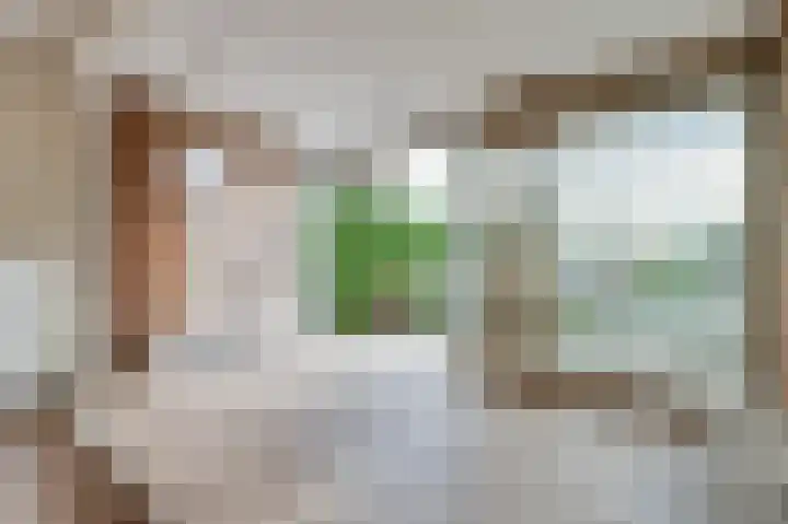 Schapenland 4 Broek op Langedijk thumbnail 10