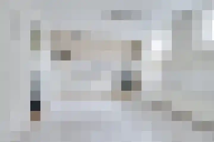 Schapenland 4 Broek op Langedijk thumbnail 13