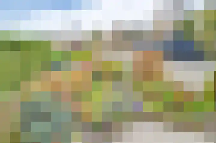 Schapenland 4 Broek op Langedijk thumbnail 37