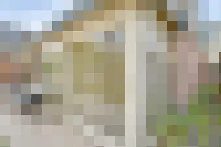 Schapenland 4 Broek op Langedijk thumbnail 38
