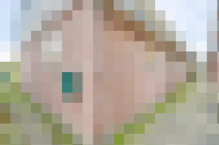 Schapenland 4 Broek op Langedijk thumbnail 39