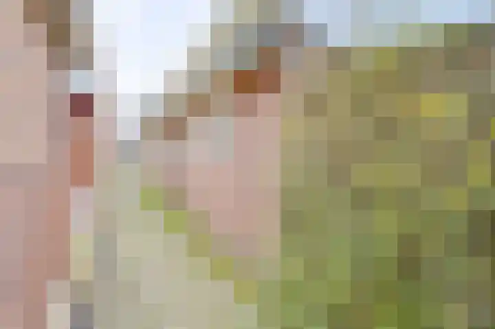 Schapenland 4 Broek op Langedijk thumbnail 40