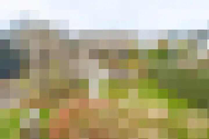 Schapenland 4 Broek op Langedijk thumbnail 43