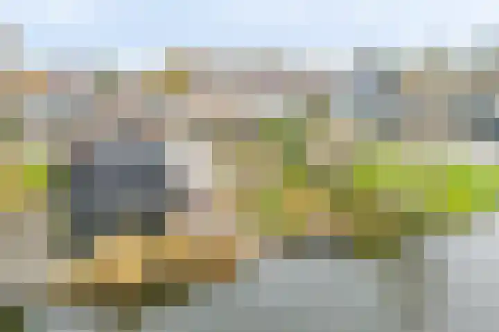 Schapenland 4 Broek op Langedijk thumbnail 44